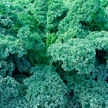 Овочі-суперфуди