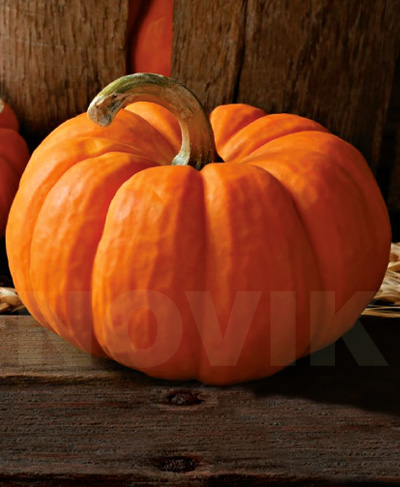 Гарбуз овочевий Медова красуня