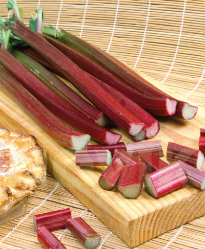 Ревінь чорноморський Вікторія