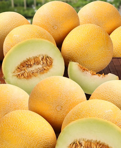 Диня Колгоспниця Диня Колгоспниця