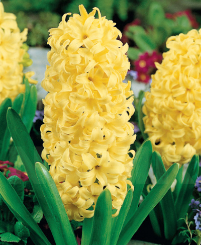 Онлайн порно: Мұғалім оқушыны трахает