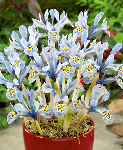 Жігіттің сүйіктісінен ақырын айырған видеосы